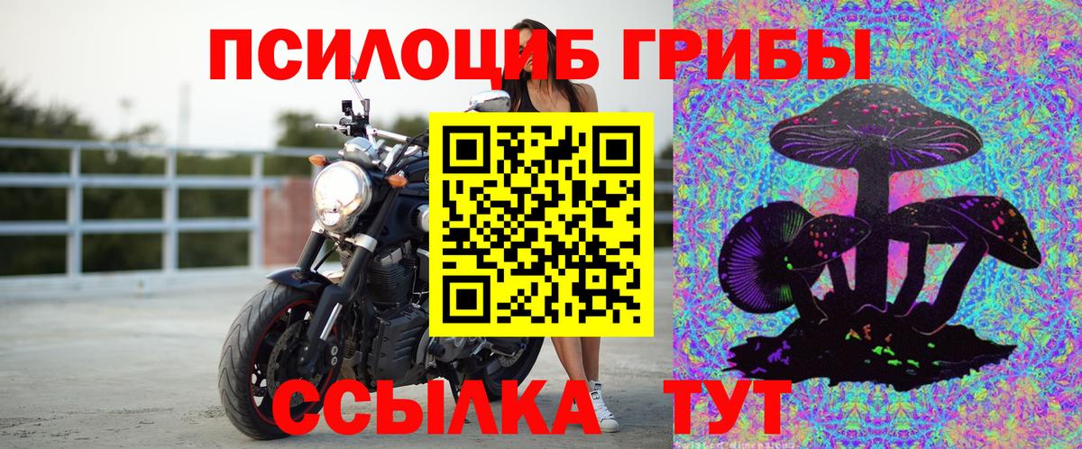 Галлюциногенные грибы мицелий Ростов-на-Дону