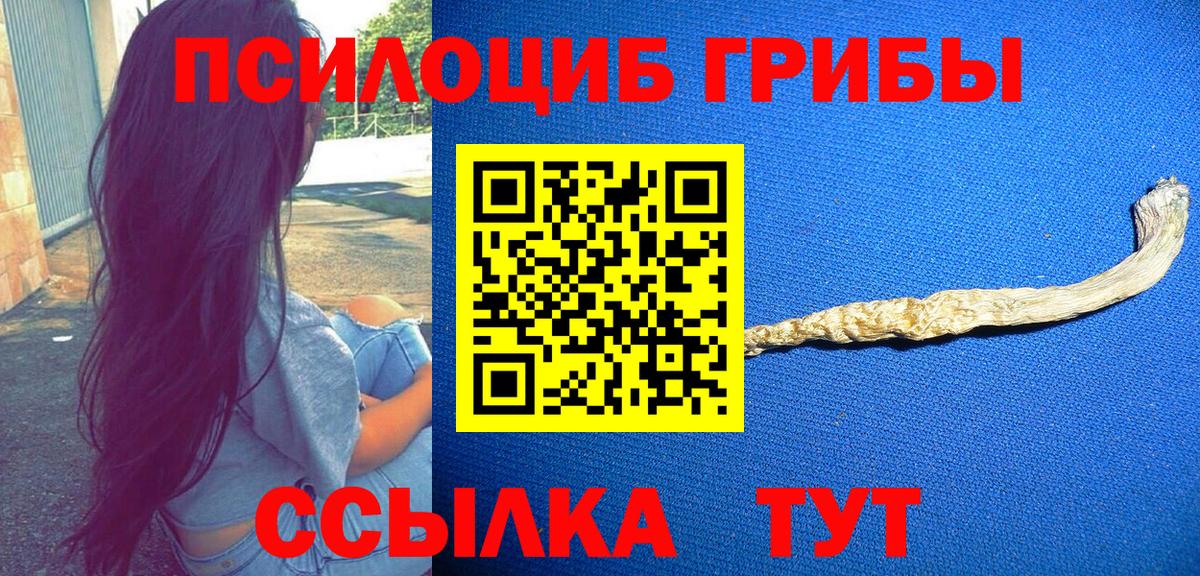 закладки  Галлюциногенные грибы Cubensis  Вход с VPN  Ростов-на-Дону 